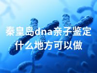 秦皇岛dna亲子鉴定什么地方可以做