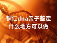 铜仁dna亲子鉴定什么地方可以做