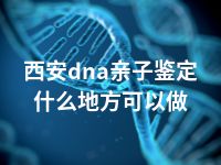 西安dna亲子鉴定什么地方可以做