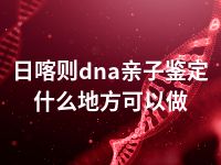 日喀则dna亲子鉴定什么地方可以做