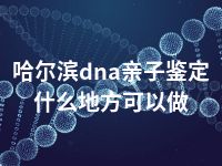 哈尔滨dna亲子鉴定什么地方可以做