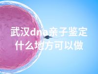 武汉dna亲子鉴定什么地方可以做