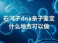 石河子dna亲子鉴定什么地方可以做