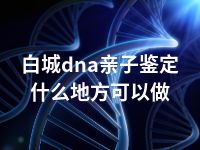 白城dna亲子鉴定什么地方可以做