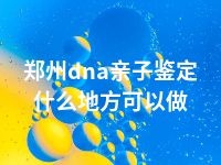 郑州dna亲子鉴定什么地方可以做