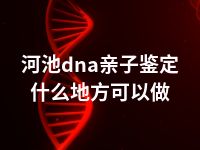 河池dna亲子鉴定什么地方可以做