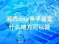 湘西dna亲子鉴定什么地方可以做