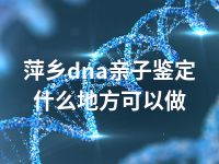 萍乡dna亲子鉴定什么地方可以做