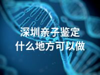 深圳亲子鉴定什么地方可以做