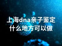 上海dna亲子鉴定什么地方可以做