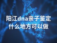 阳江dna亲子鉴定什么地方可以做