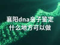 襄阳dna亲子鉴定什么地方可以做