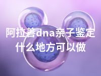 阿拉善dna亲子鉴定什么地方可以做