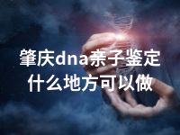 肇庆dna亲子鉴定什么地方可以做