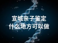 宣城亲子鉴定什么地方可以做