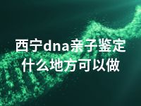 西宁dna亲子鉴定什么地方可以做