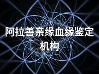 阿拉善亲缘血缘鉴定机构