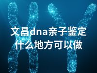 文昌dna亲子鉴定什么地方可以做