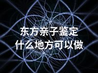 东方亲子鉴定什么地方可以做