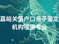 嘉峪关落户口亲子鉴定机构哪里专业