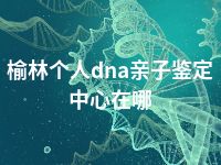 榆林个人dna亲子鉴定中心在哪