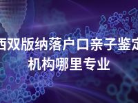 西双版纳落户口亲子鉴定机构哪里专业