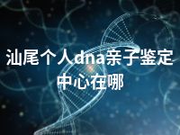 汕尾个人dna亲子鉴定中心在哪