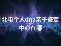 北屯个人dna亲子鉴定中心在哪