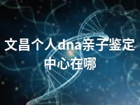 文昌个人dna亲子鉴定中心在哪