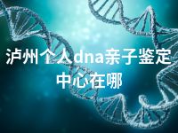 泸州个人dna亲子鉴定中心在哪