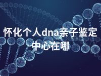 怀化个人dna亲子鉴定中心在哪