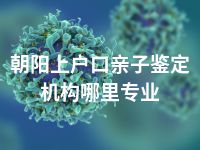 朝阳上户口亲子鉴定机构哪里专业