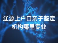 辽源上户口亲子鉴定机构哪里专业