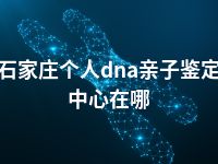 石家庄个人dna亲子鉴定中心在哪