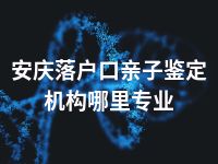 安庆落户口亲子鉴定机构哪里专业