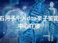 石河子个人dna亲子鉴定中心在哪