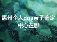 惠州个人dna亲子鉴定中心在哪