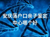 安庆落户口亲子鉴定中心哪个好