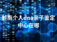 黔南个人dna亲子鉴定中心在哪