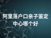 阿里落户口亲子鉴定中心哪个好