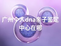 广州个人dna亲子鉴定中心在哪