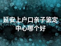 延安上户口亲子鉴定中心哪个好