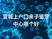 宣城上户口亲子鉴定中心哪个好