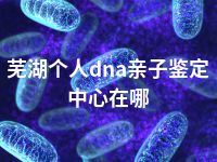 芜湖个人dna亲子鉴定中心在哪