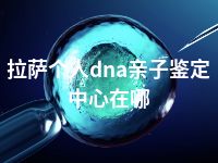 拉萨个人dna亲子鉴定中心在哪