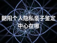 朝阳个人隐私亲子鉴定中心在哪