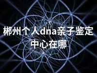 郴州个人dna亲子鉴定中心在哪