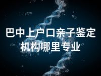 巴中上户口亲子鉴定机构哪里专业