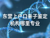 东营上户口亲子鉴定机构哪里专业