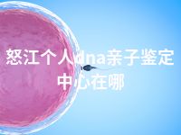 怒江个人dna亲子鉴定中心在哪